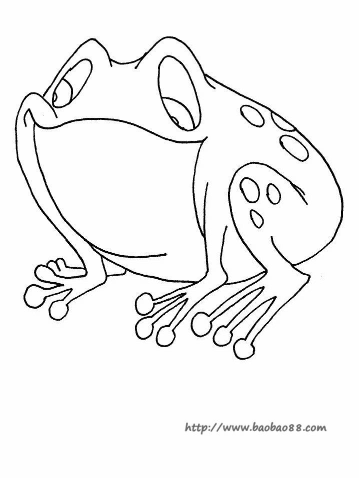 青蛙简笔画[22p]_动物简笔画(涂色图片) - 【宝宝吧】
