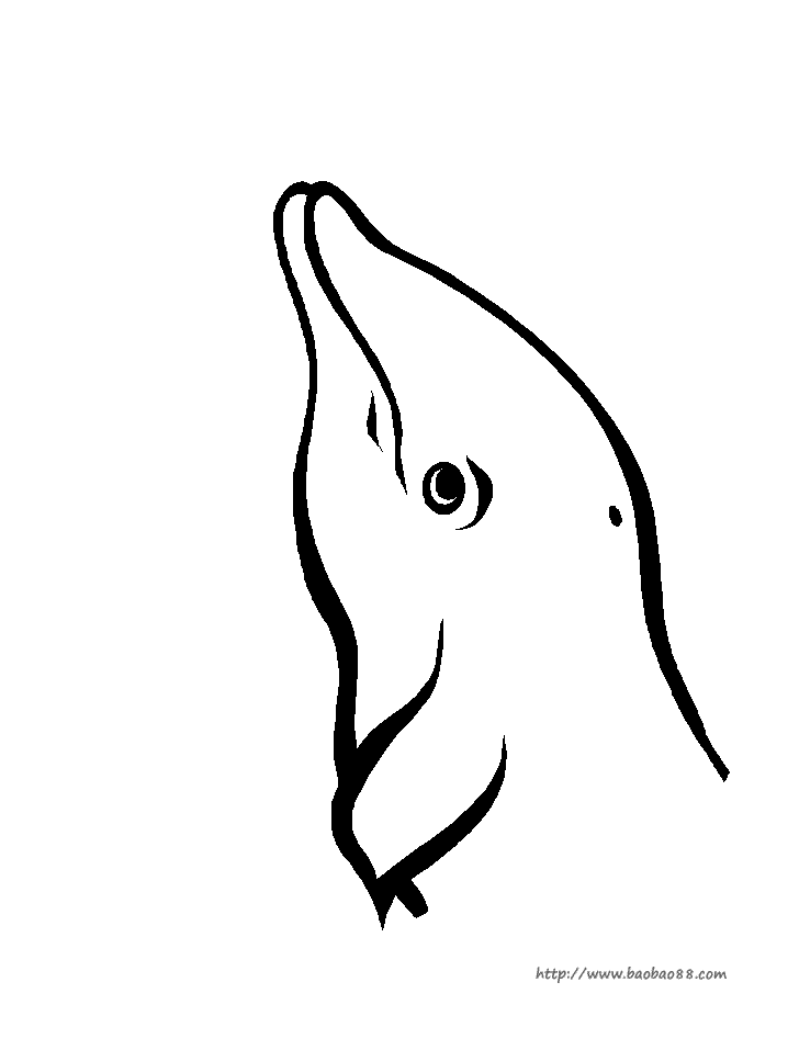 ȫҸʻͿɫ
