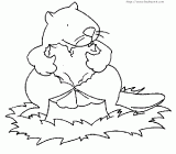 松鼠简笔画[30p]_动物简笔画(涂色图片) - 【宝宝吧】