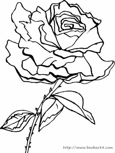 玫瑰花简笔画 植物简笔画 涂色图片 玫瑰花简笔画 植物简笔画 涂色图片