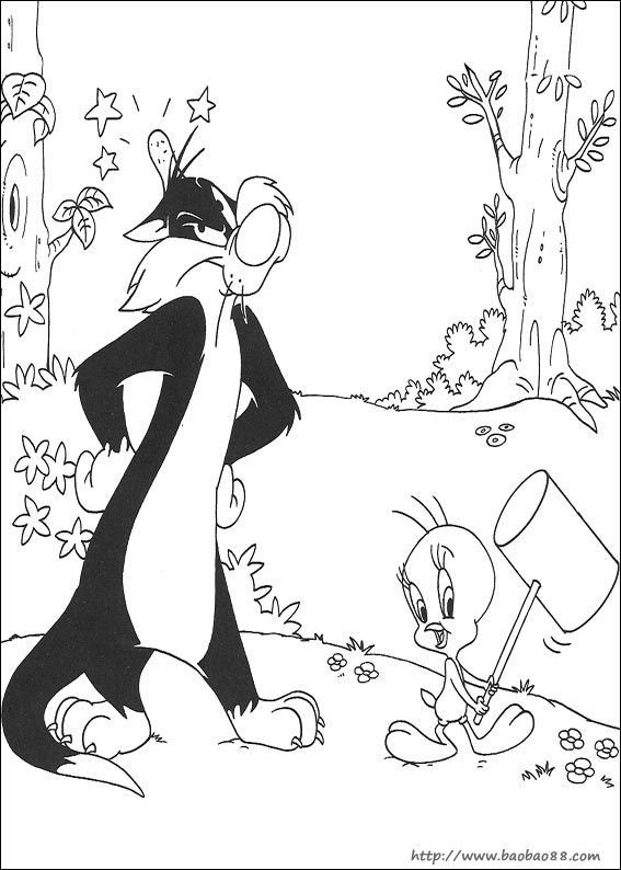 ͨ  tweety