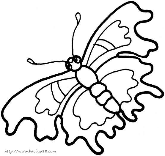 首页简笔画动物简笔画蝴蝶蝴蝶是一种非常漂亮的昆虫到了夏天