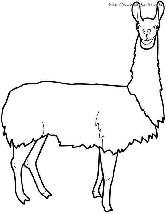 ռʻͼƬչʾ