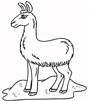 ռʻͼƬչʾ