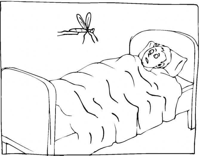 蚊子简笔画[7p]_昆虫简笔画(涂色图片)