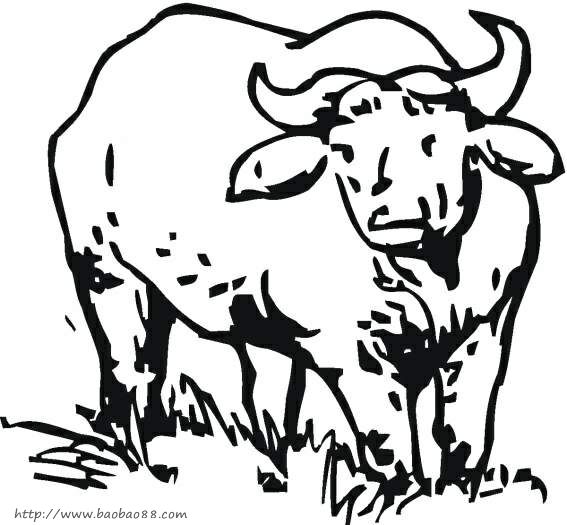 牛的简笔画[22p]_动物简笔画(涂色图片)