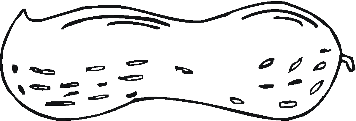 小吃零食简笔画