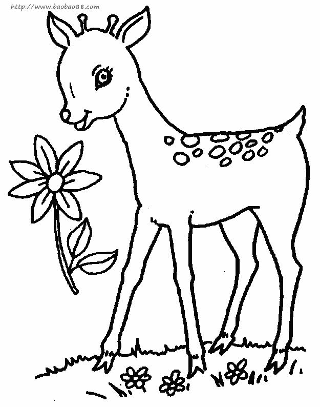 梅花鹿简笔画; 可爱的梅花鹿填色图6; 可爱的梅花鹿在线视频