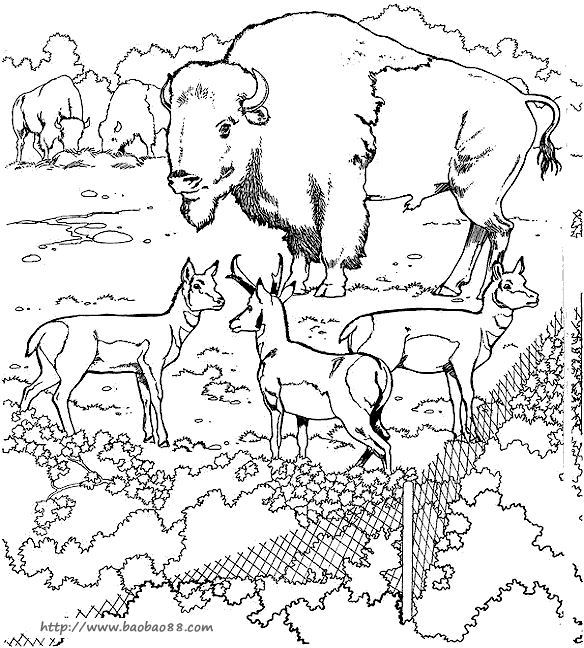 动物园填色图片[26p]_动物简笔画(涂色图片) - 【宝宝