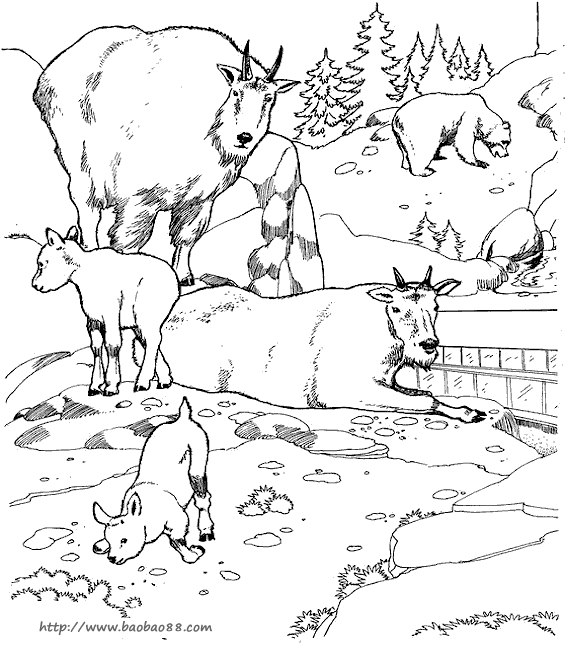 动物园填色图片[26p]_动物简笔画(涂色图片) - 【宝宝