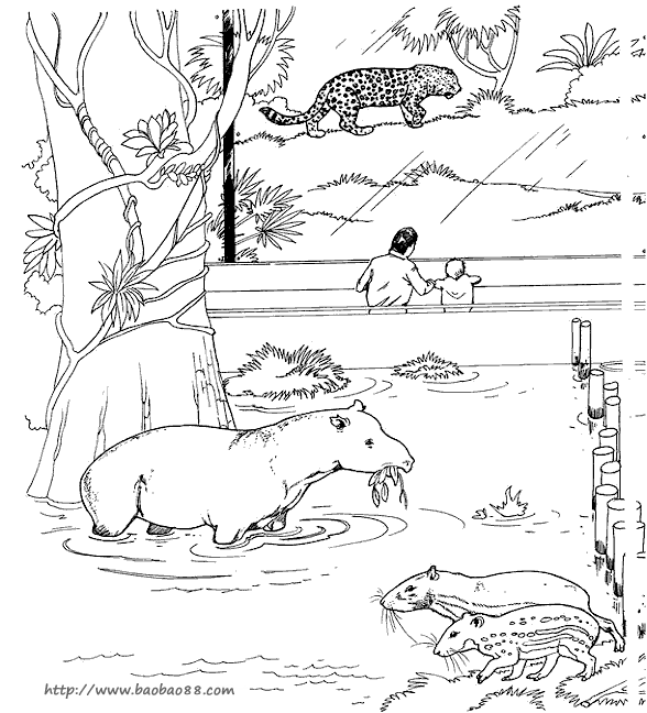 动物园填色图片[26p]_动物简笔画(涂色图片) - 【宝宝