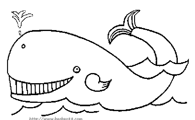 鲸鱼简笔画[17p]_动物简笔画(涂色图片) - 【宝宝吧】