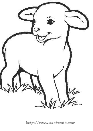 绵羊简笔画[70p]_动物简笔画(涂色图片) - 【宝宝吧】
