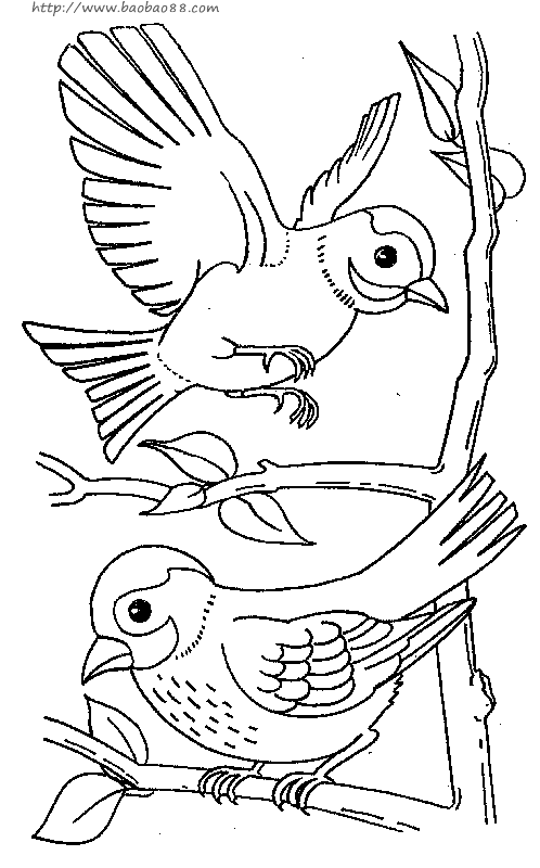 鸟的纹样简笔画内容图片展示