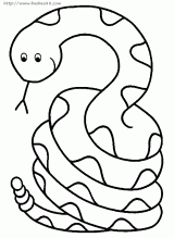 蛇的简笔画图片[14p]_动物简笔画(涂色图片【宝宝吧】