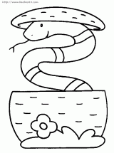 蛇的简笔画图片