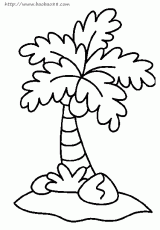 椰树填色图片