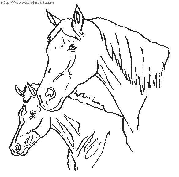 马简笔画40