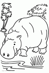 河马简笔画