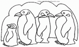 企鹅简笔画