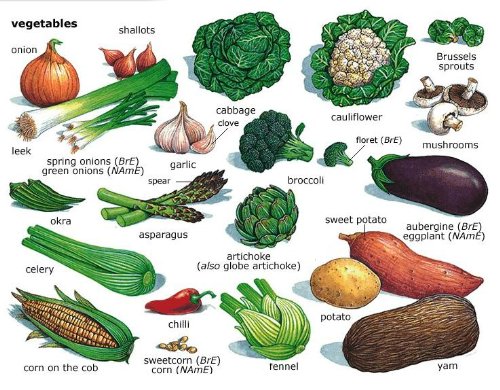 1112010P16-vegetable.JPG