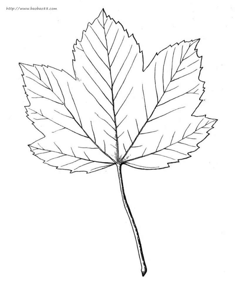 ҶʻͿƬ
