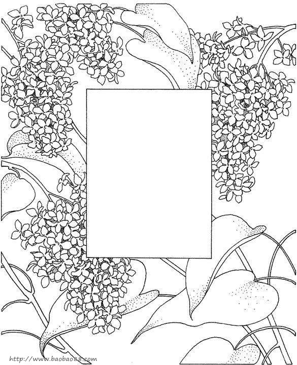 葫芦简笔画图片大全,葫芦藤简笔画,葫芦藤简笔画画 ...