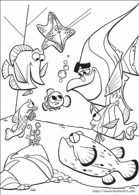 海底总动员简笔画[72p]_卡通动漫简笔画(涂色图片) - 【宝宝吧】