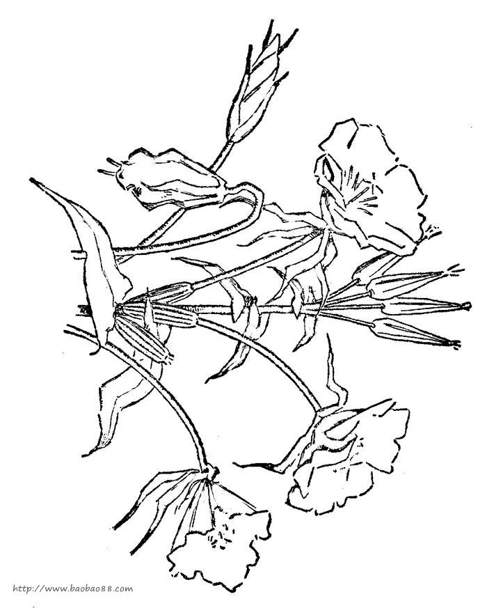 ʻ#; Ǧ ֻ滨ܼʻ ; 