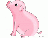 画小猪1