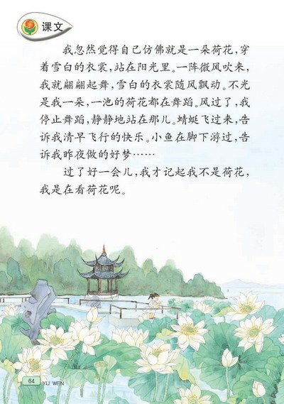 荷花作文600_荷花作文300字_荷花的作文