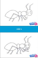 学画蝴蝶、蚂蚁、蜗牛、蜂蜜、螃蟹5