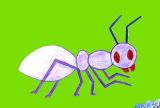 学画蝴蝶、蚂蚁、蜗牛、蜂蜜、螃蟹6