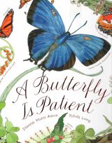 A BUTTERFLY IS PATIENT