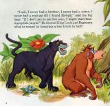 More Jungle Book（迪士尼）6
