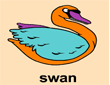 (swan)ɫ