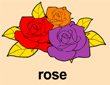 õ(rose)ɫ