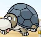 The Turtle That Carries A House Around