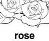 rose ɫ