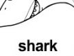 shark ɫ