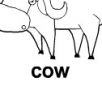 cow ɫ 