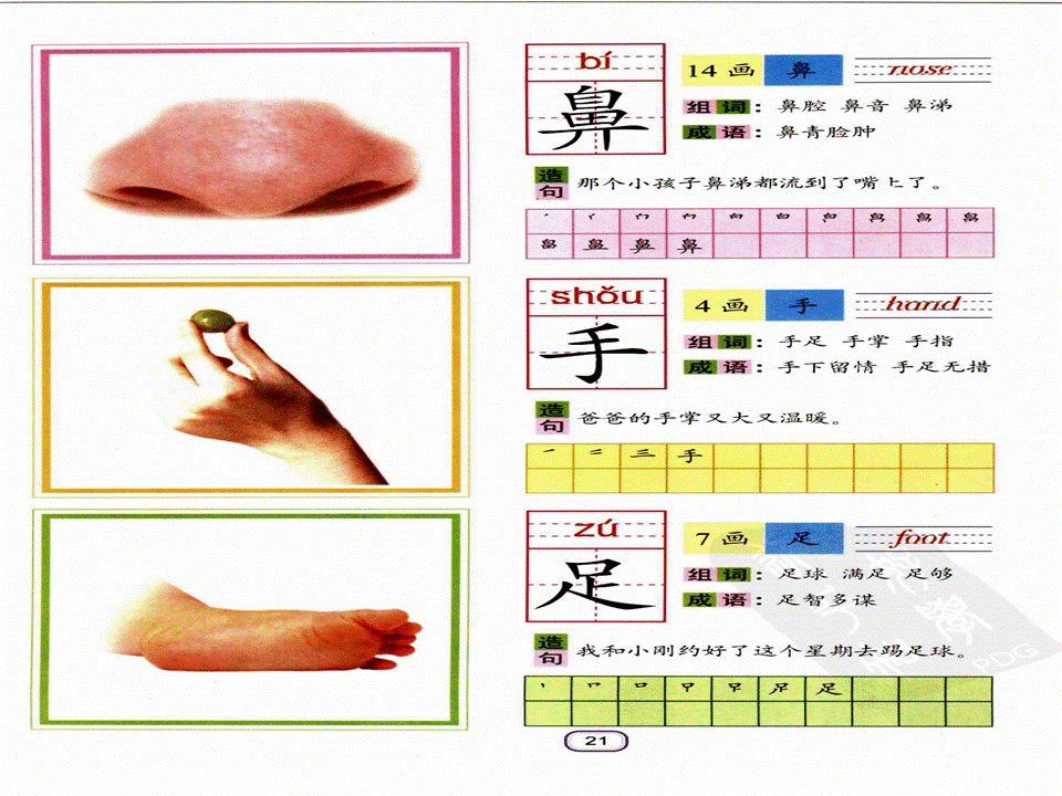 识字卡片图片大全_人口手足 的识字卡片